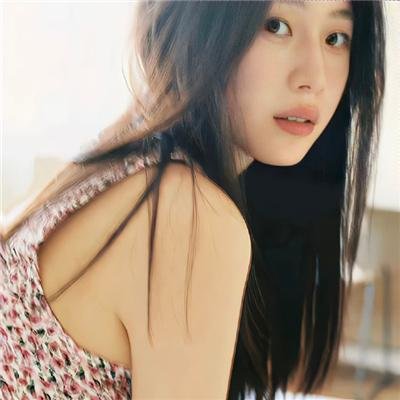 黎明的飞鸟