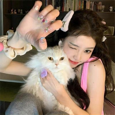 狐狸与猎狗
